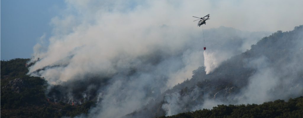 Webinar: Emergency management best practices