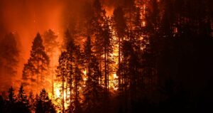 Wildfire safety