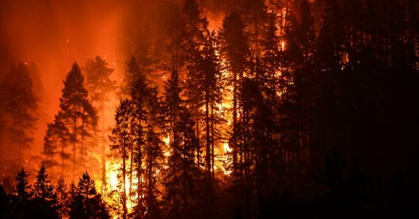 Wildfire safety
